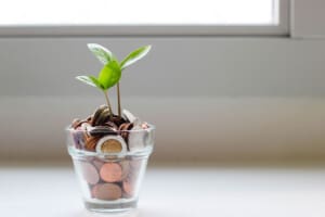 A small plant inside of a see through cup filled with coins
